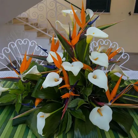 Tatil Evi La Mattonara *